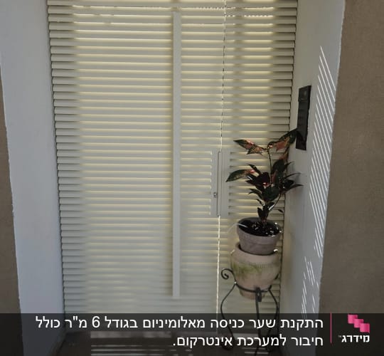 דלת עם תריסים וצמח בעציץ בכניסה לבית